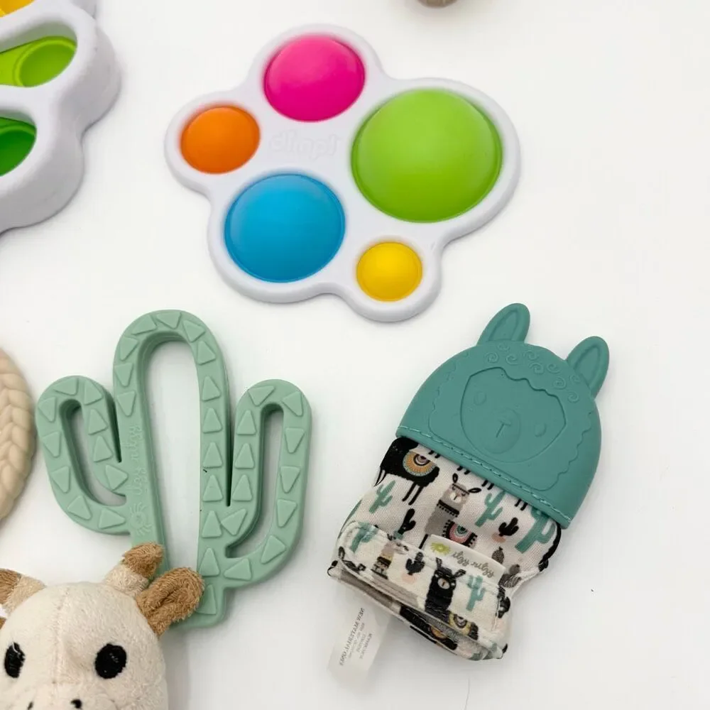 Fat Brain Toys Itzy Ritzy Sweetooth Vulli Lot of Infant Developmental Toys - All